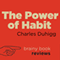 Review: The Power of Habit by Charles Duhigg