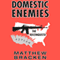 Domestic Enemies: The Reconquista: The Enemies Trilogy, Book 2