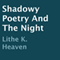 Shadowy Poetry and the Night