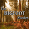 Sasquatch and UFOs (The Bigfoot Stories)