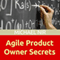 Agile Project Management: Agile Business Leadership, Book 2