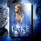 November Lake: Teenage Detective: The November Lake Mysteries, Book 2