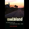 Methland: The Death and Life of an American Small Town