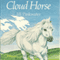 Cloud Horse