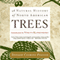 A Natural History of North American Trees