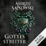 Gottesstreiter (Narrenturm-Trilogie 2)