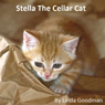 Stella the Cellar Cat