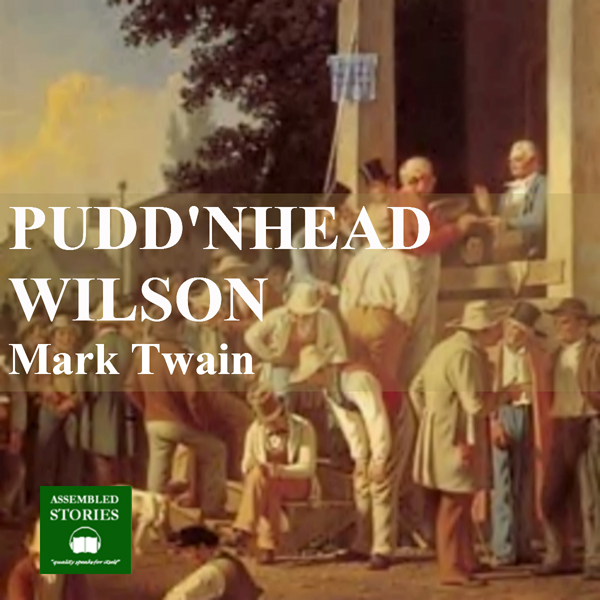 Puddnhead Wilson