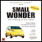Small Wonder: The Making of the Nano