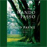 Back to Wando Passo