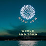 World and Town: A Novel