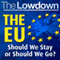 The Lowdown: The EU - Should We Stay or Should We Go?