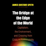The Bridge at the End of the World: Capitalism, the Environment, and Crossing from Crisis to Sustainability