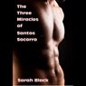 The Three Miracles of Santos Socorro: Gay Erotic Humor