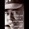The Last Hero: A Life of Henry Aaron