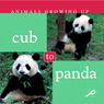 Animals Growing Up: Cub to Panda