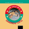 Loggerhead Turtle: Life Cycles Series