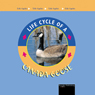 Life Cycles: Canada Goose
