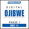 Ojibwe Phase 1, Unit 11: Learn to Speak and Understand Ojibwe with Pimsleur Language Programs
