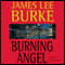 Burning Angel: A Dave Robicheaux Novel, Book 8