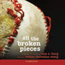 All the Broken Pieces