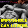 Impossible Gay Lovers: Directed Erotic Visualisation