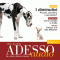 ADESSO audio - I diminutivi. 3/2014. Italienisch lernen Audio - Das Diminutiv