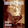 Industrial Magic: Women of the Otherworld, Book 4