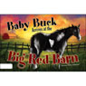 Baby Buck Arrives at the Big Red Barn