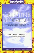 The Celestine Meditations: A Guide to Meditating Based on The Celestine Prophecy