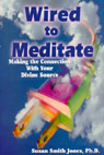 Wired to Meditate: Making the Connection with Your Divine Source