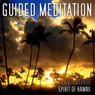 Guided Meditation Series: Spirit of Hawaii