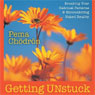Getting Unstuck: Breaking Your Habitual Patterns and Encountering Naked Reality