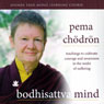 Bodhisattva Mind: Teachings to Cultivate Courage and Awareness in the Midst of Suffering