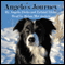 Angelo's Journey: A Border Collie's Quest for Home (Unabridged) audio book by Leland Dirks, Angelo Dirks