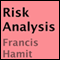 Risk Analysis (Unabridged) audio book by Francis Hamit