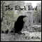 The Black Bird (Unabridged) audio book by R. L. McCallum