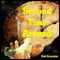 Second Time Around (Unabridged) audio book by Neil Brunsden