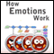 How Emotions Work: In Humans and Computers (Unabridged) audio book by Sean Webb