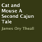 Cat and Mouse: A Second Cajun Tale (Unabridged) audio book by James Ory Theall