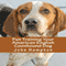 Fun Training Your American English Coonhound Dog (Unabridged) audio book by John Hampton