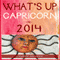 What's Up Capricorn in 2014 (Unabridged) audio book by Lauren Delsack
