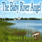 The Baby River Angel (Unabridged) audio book by Robert Hays