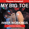 My Big TOE, Book 3: Inner Workings (Unabridged) audio book by Thomas W. Campbell
