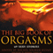 The Big Book of Orgasms: 69 Sexy Stories (Unabridged) audio book by Rachel Kramer Bussel
