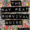 The Ray Peat Survival Guide: Understanding, Using, and Realistically Applying the Dietary Ideas of Dr. Ray Peat (Unabridged) audio book by Joey Lott