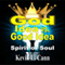 God Idea vs. Good Idea: Spirit or Soul (Unabridged) audio book by Kevin L. Cann