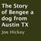 The Story of Bengee a Dog from Austin TX (Unabridged) audio book by Joe Hickey