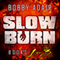 Slow Burn: Box Set 1-3 (Unabridged) audio book by Bobby Adair