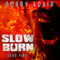 Slow Burn: Dead Fire: Slow Burn, Book 4 (Unabridged) audio book by Bobby Adair